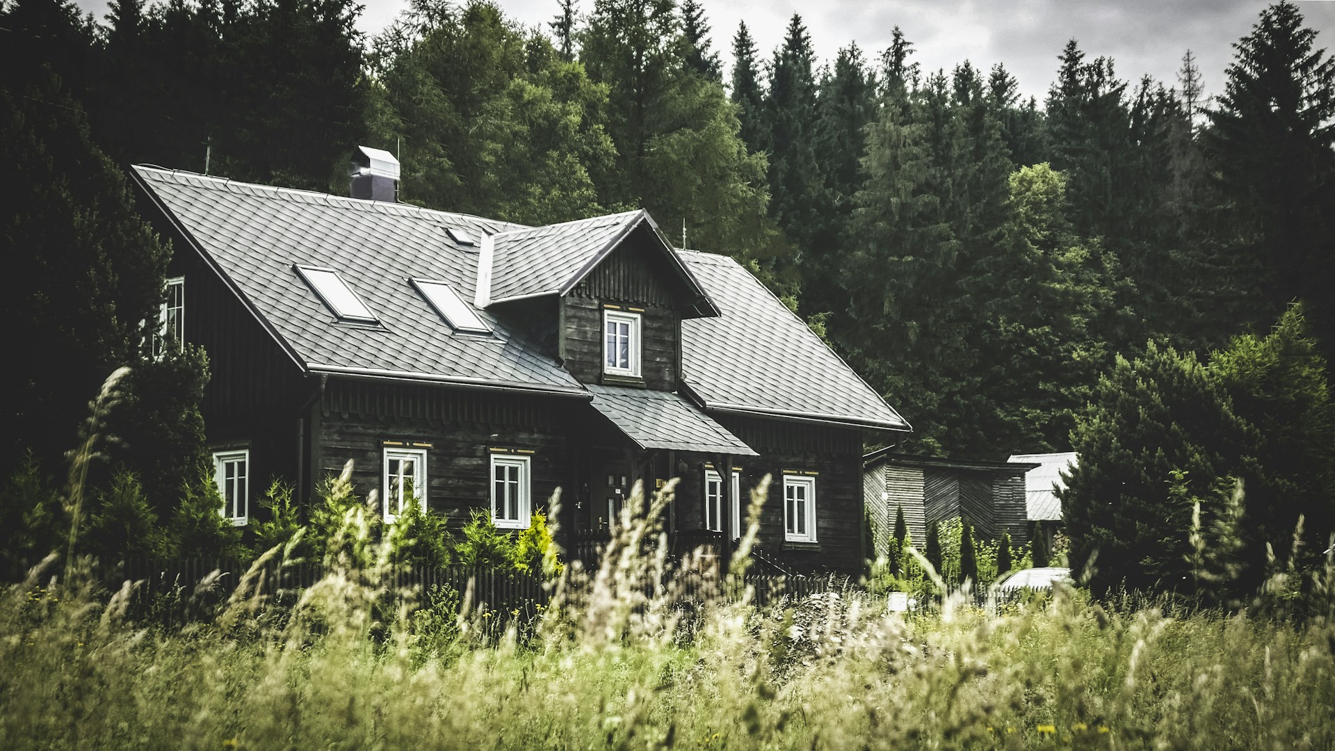 Una casa enclavada entre un jardín cubierto de maleza y pinos | Fuente: Unsplash