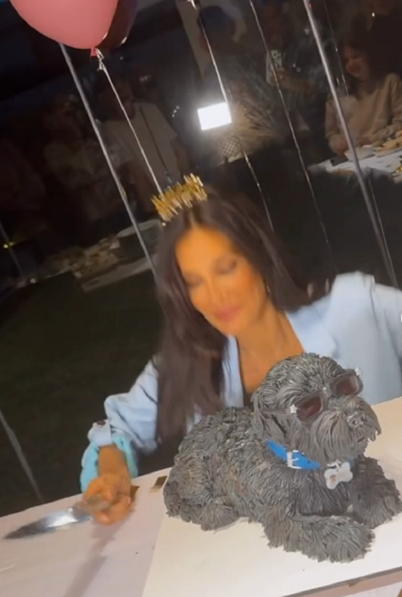 Silvina Escudero frente a la torta réplica de su perro en su cumpleaños número 43 | Fuente: Instagram/escuderosilvina