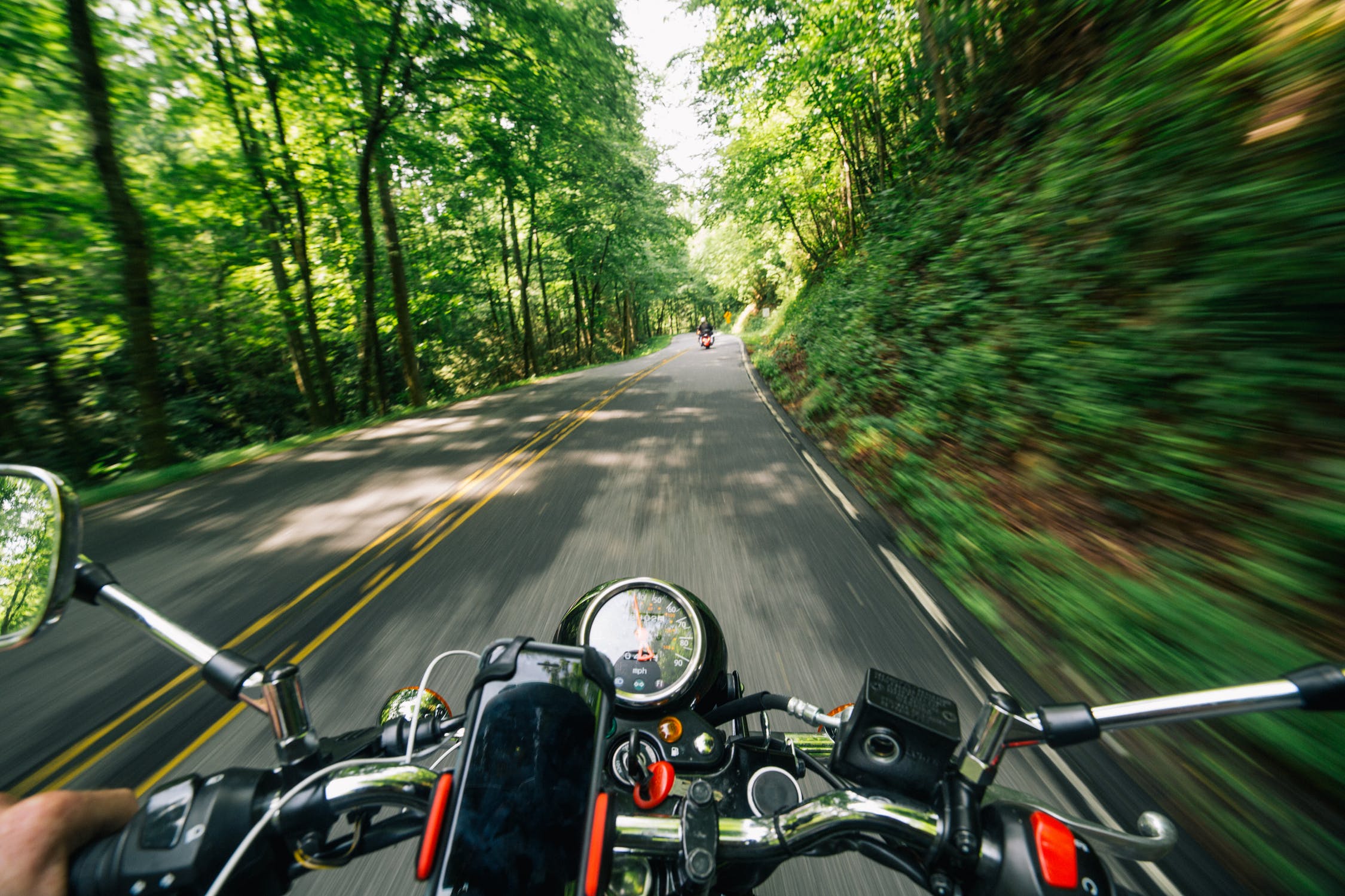 Motociclista conduciendo por una carretera rodeada de vegetación. | Imagen: Pexels