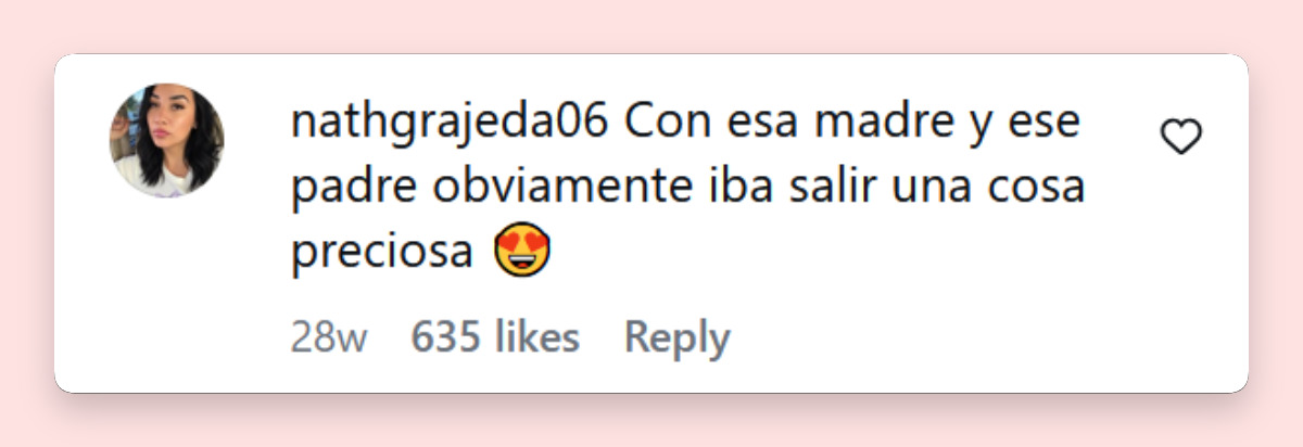 Comentario de una usuaria sobre los hijos de Luis Miguel y Aracely Arámbula | Fuente: Instatram/ventaneandouno