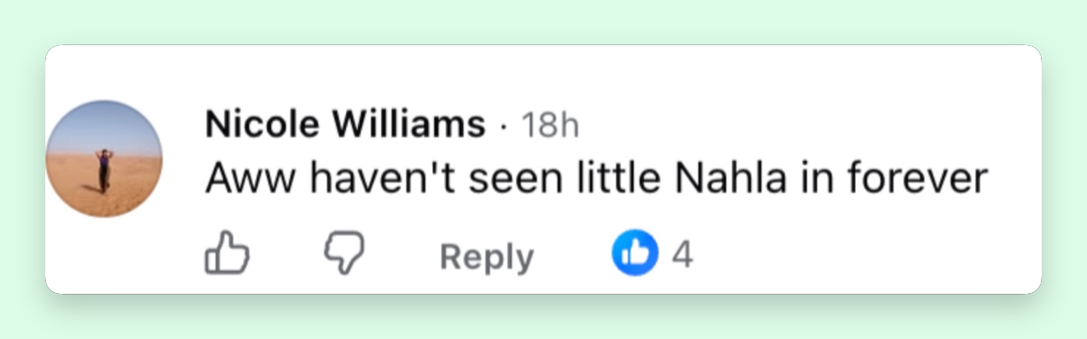 Un usuario comentó que le había sorprendido y dado un poco de nostalgia volver a ver a Nahla después de tantos años sin ver casi fotos de la hija de Halle Berry. | Fuente: Facebook/Page Six