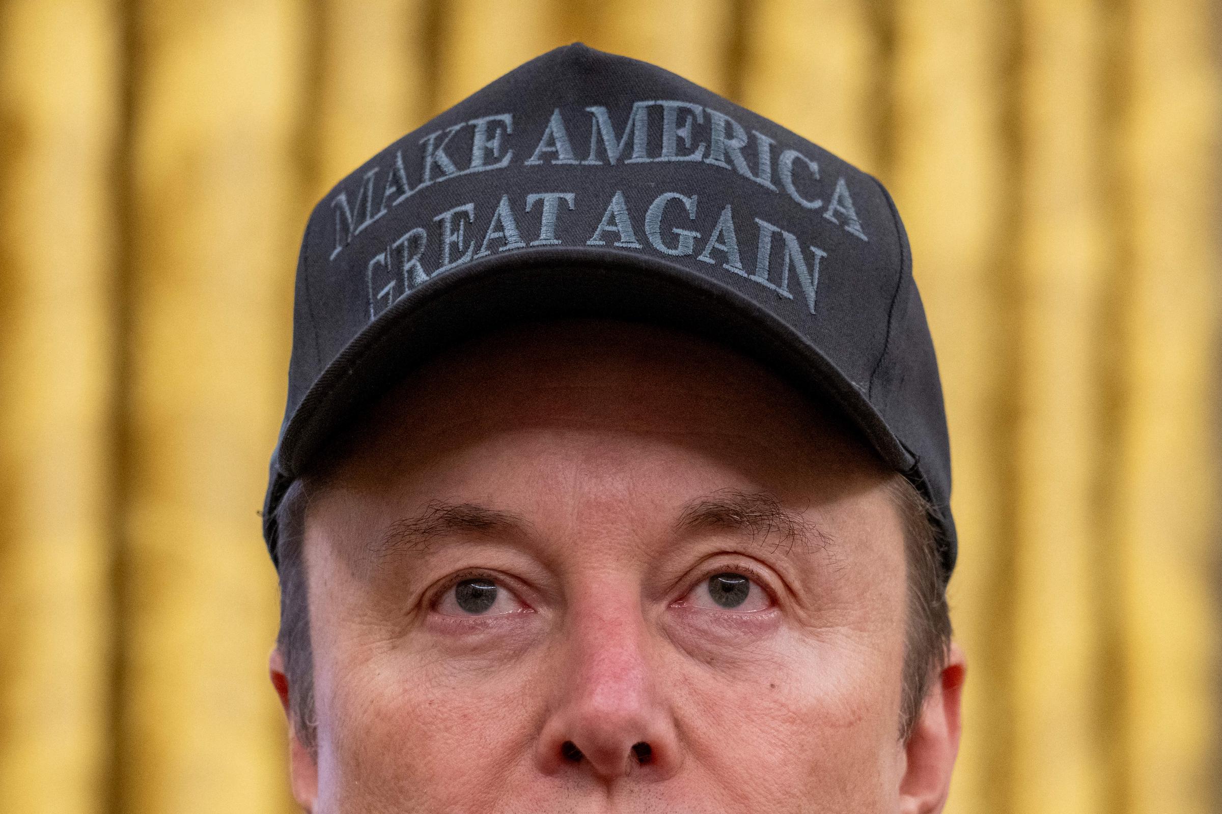 Elon Musk se une al presidente estadounidense Donald Trump durante la firma de una orden ejecutiva en el Despacho Oval de la Casa Blanca en Washington, DC, el 11 de febrero de 2025 | Fuente: Getty Images