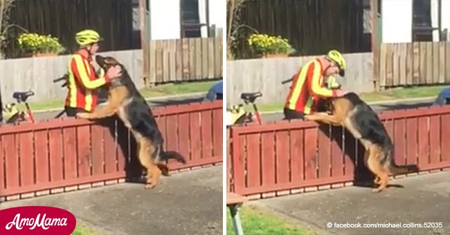 Cartero fue captado en cámara acercándose a gran perro y su inesperada acción se hizo viral