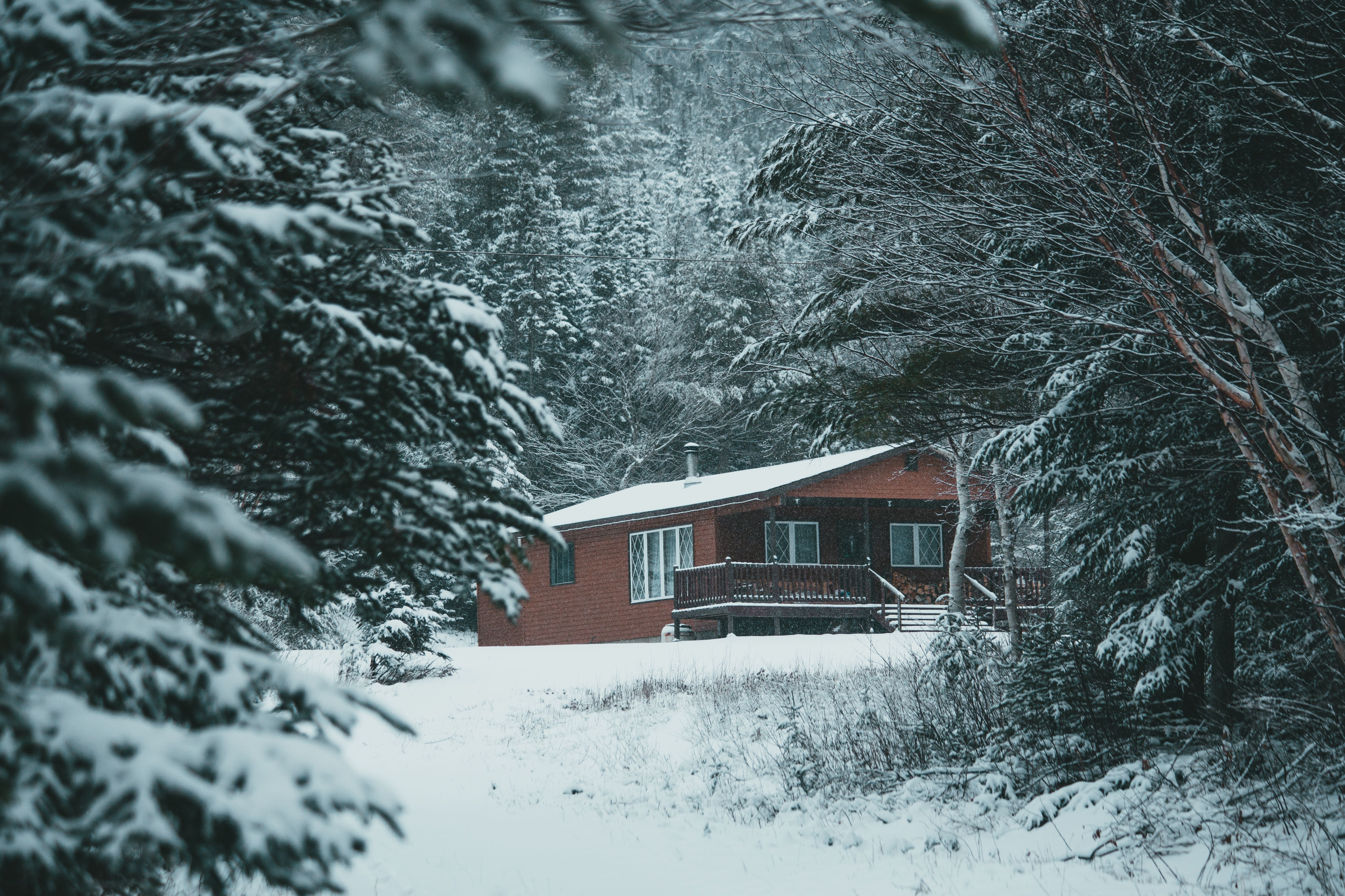 Una casita en el bosque, en las montañas | Fuente: Pexels