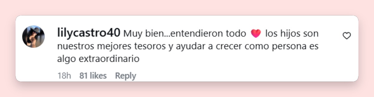 Comentario de una usuaria | Fuente: Instagram/josemariamuscari