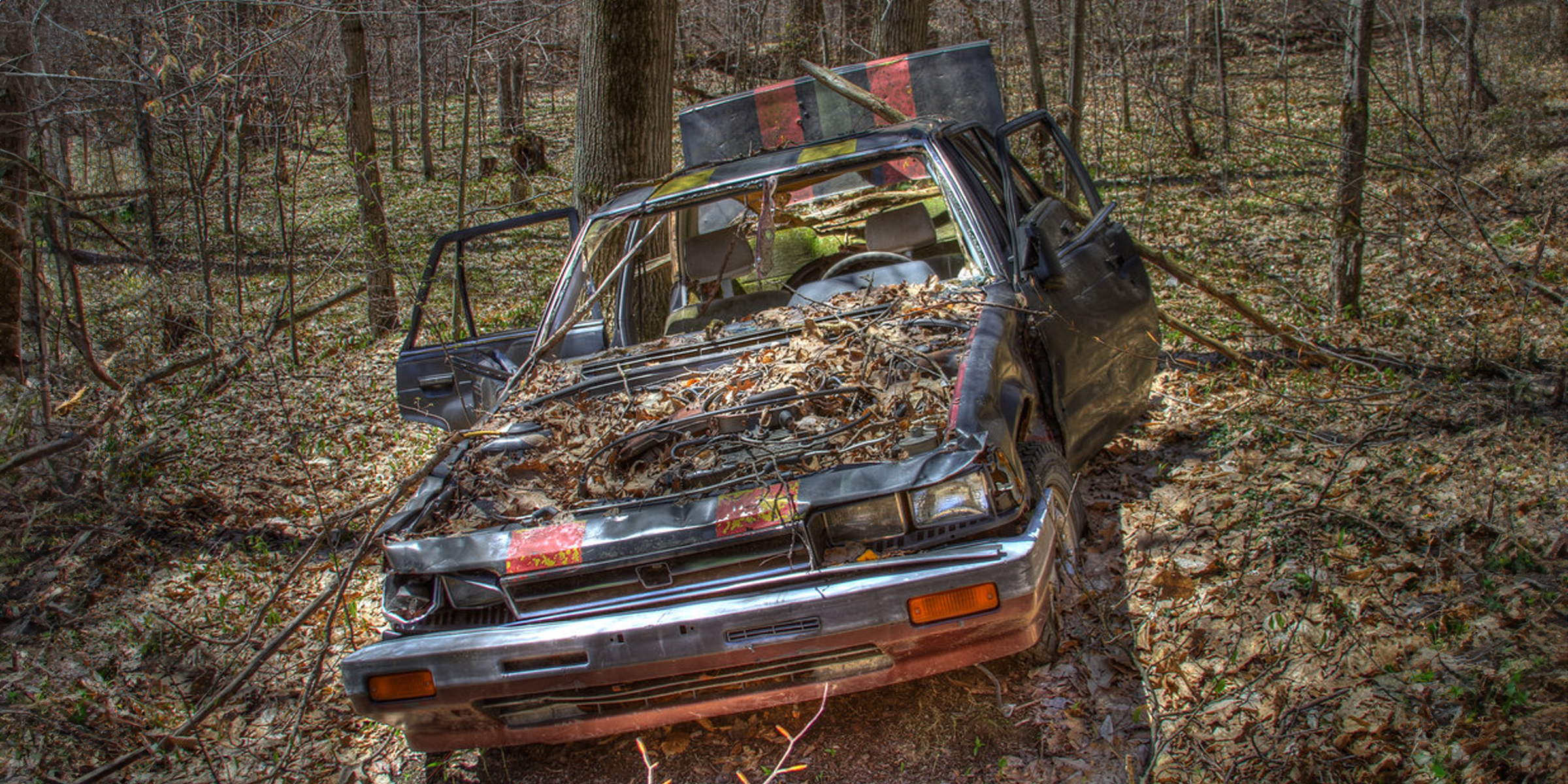 Un automóvil abandonado en un bosque | Fuente: Flickr.com/waitscm (CC BY 2.0)