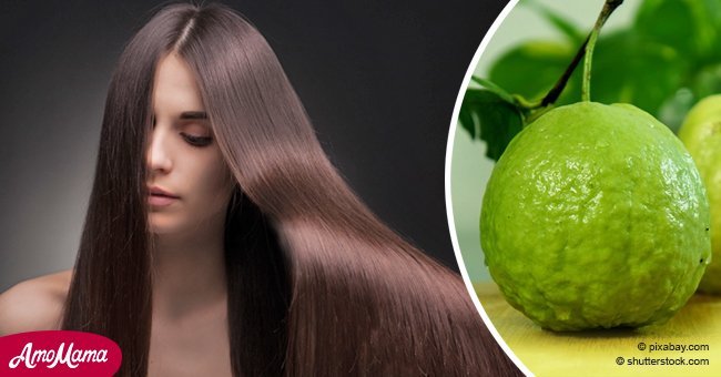 Hierve estas hojas y úsalas para lavarte el cabello. En una semana comenzarás a ver cambios