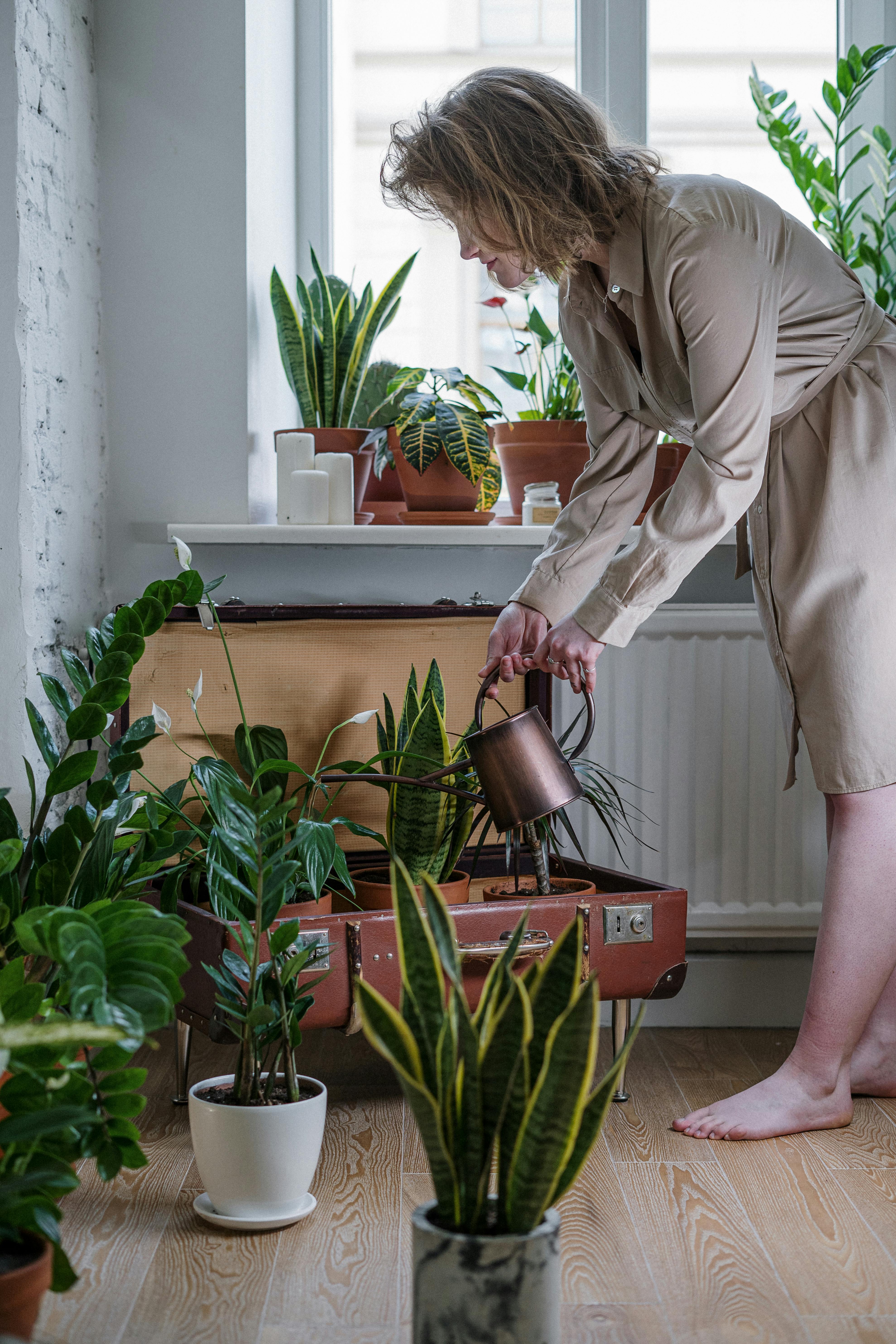 Una mujer regando plantas | Fuente: Pexels