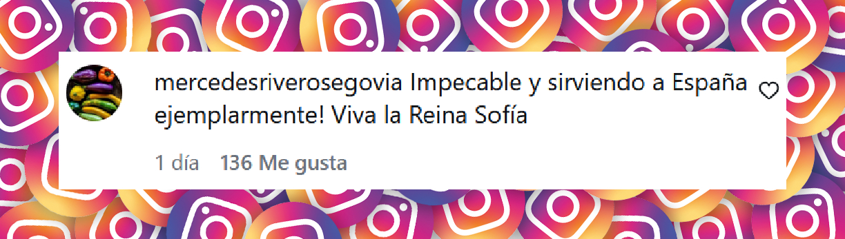 Comentario de una usuaria sobre la reina Sofía de España en un evento con asociaciones de lesiones medulares y alzheimer | Fuente: Instagram/revistadiezminutos