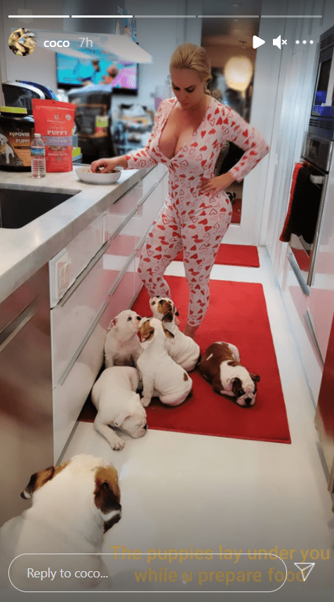 Una foto de Coco Austin en pijama mientras prepara la cena con sus cachorros tirados en el suelo. | Foto: Instagram / Coco