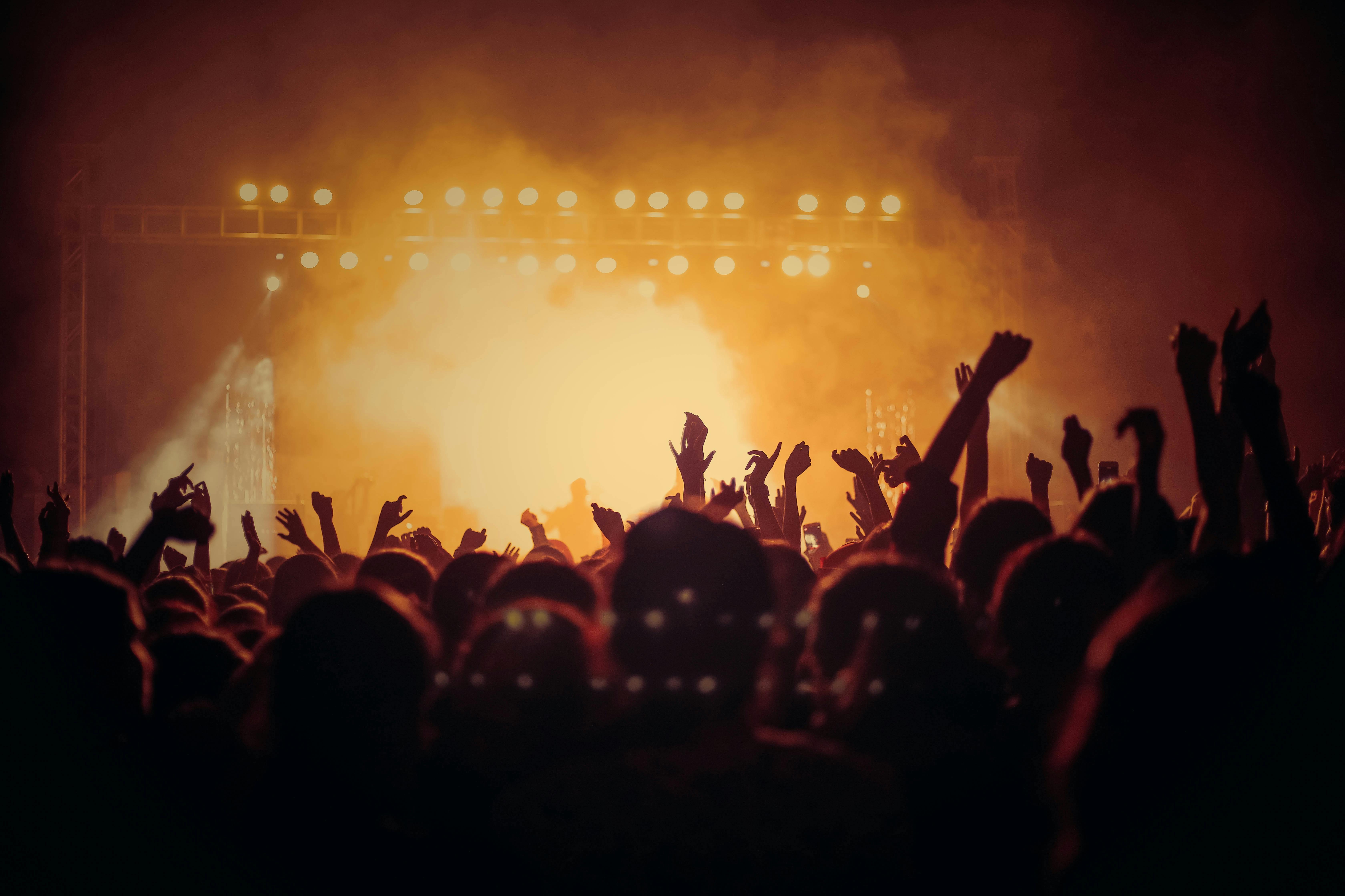 Aficionados en un concierto | Fuente: Pexels