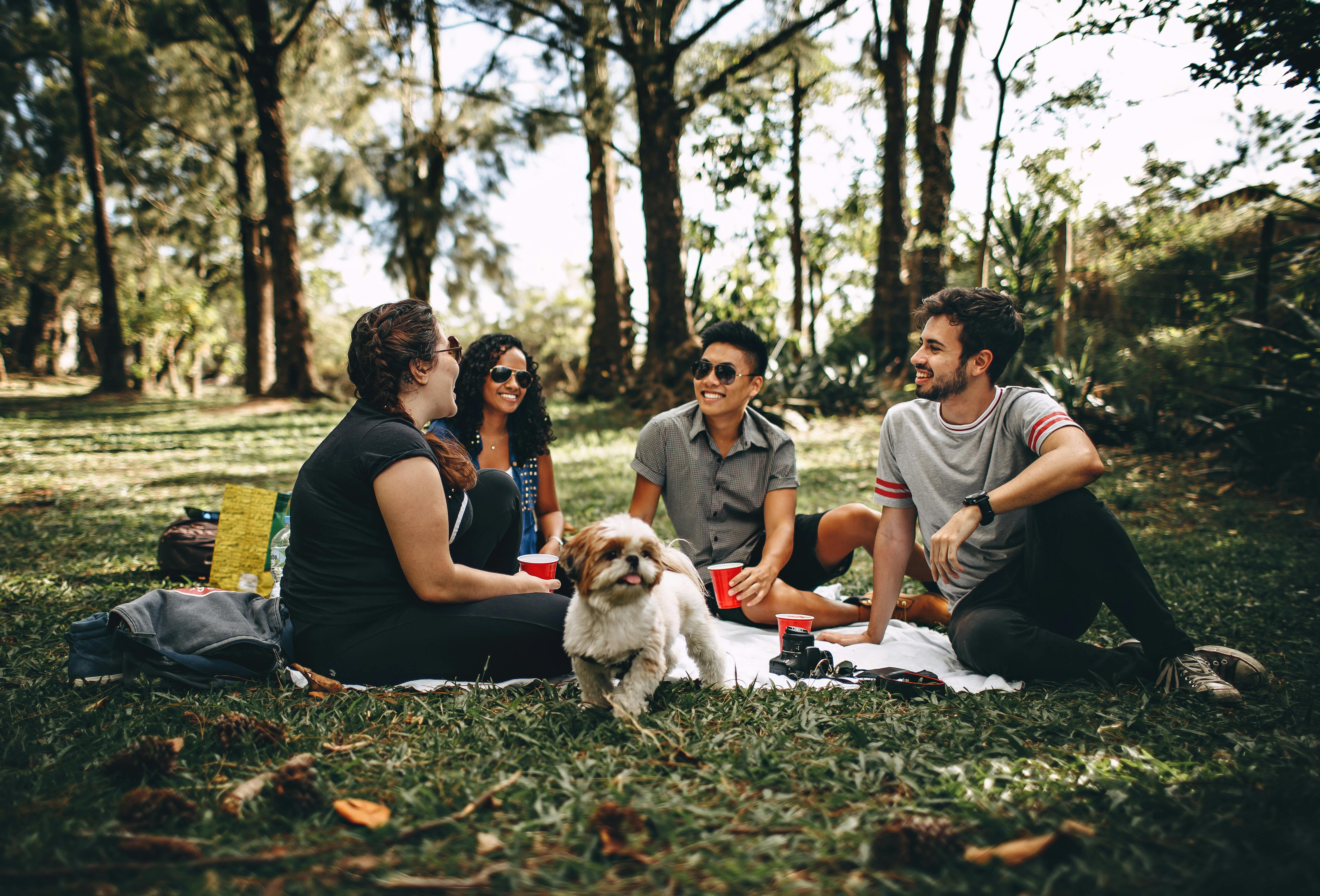 Amigos de picnic | Fuente: Pexels