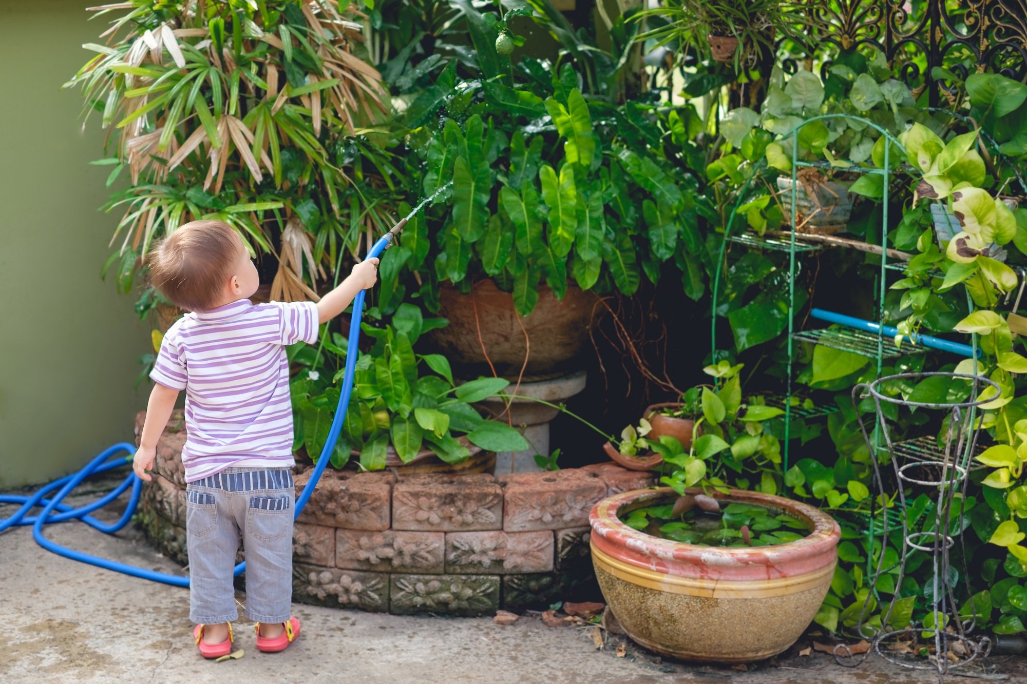 Niño pequeño riega las plantas en el jardín. | Foto: Shutterstock