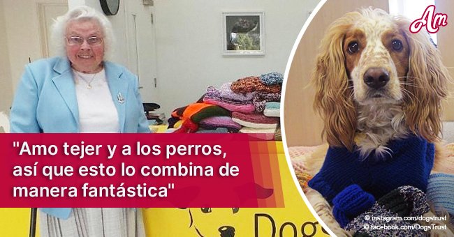Mujer de 89 años ha tejido más de 450 mantas y suéteres para ayudar a perros de refugio