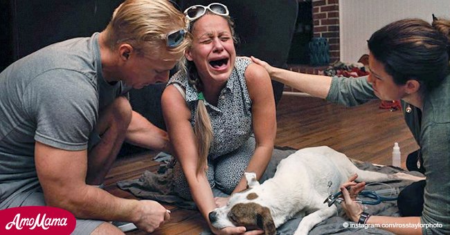 Devastadoras imágenes revelan la tristeza de los dueños dando el último adiós a sus amados perros