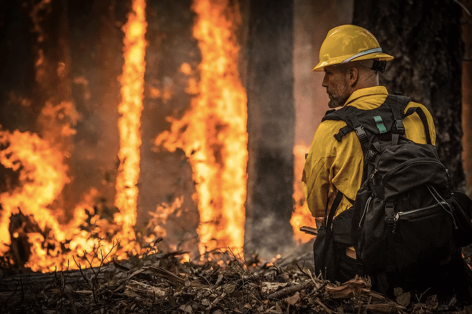 Un bombero observa durante una misión de incendios forestales. | Foto: Pixabay