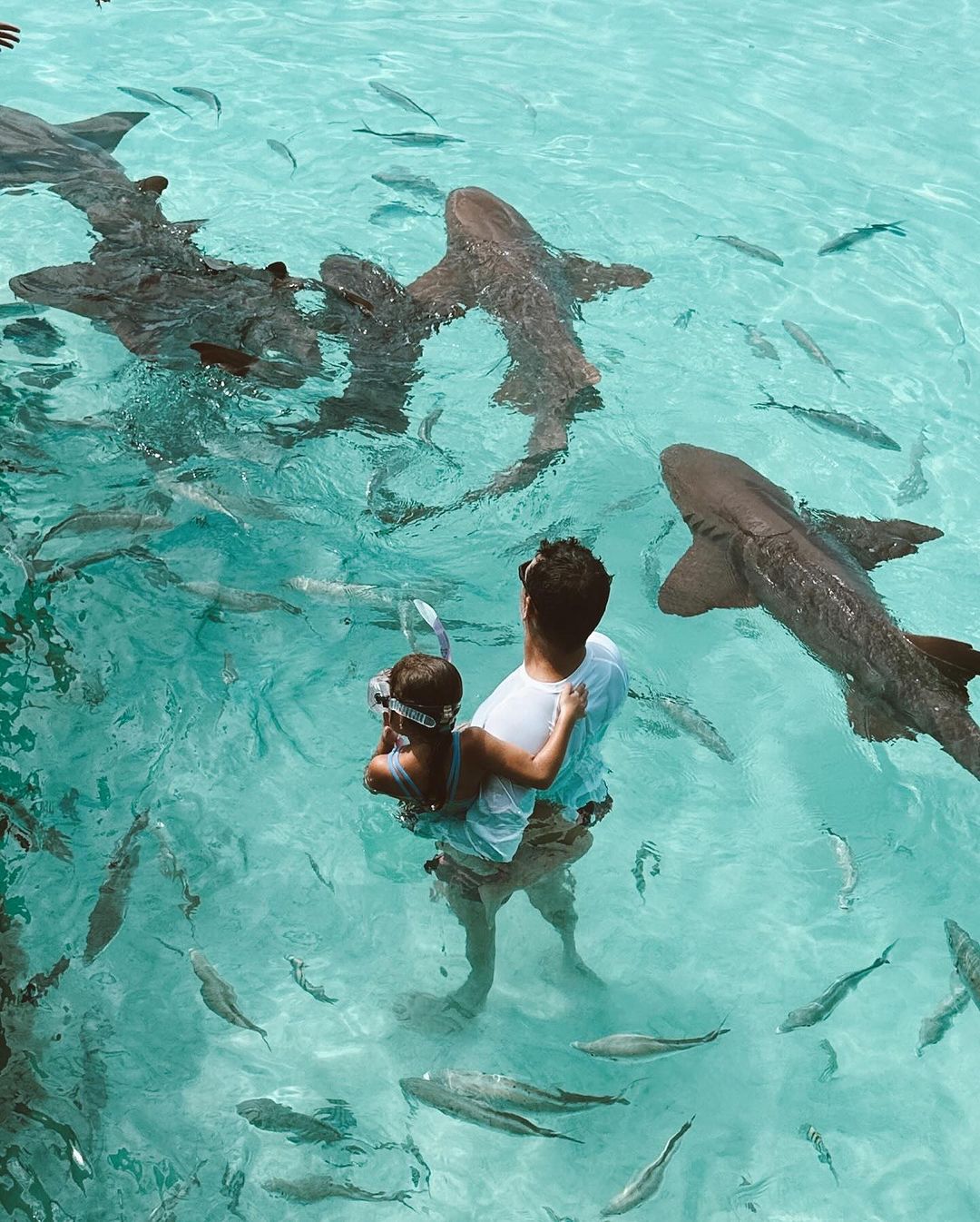 Martín Fuentes con una de sus hijas en brazos nadando con tiburones | Fuente: Instagram/jackybrv