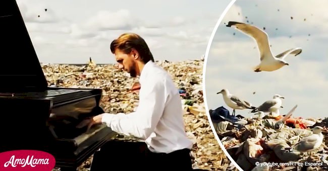 Increíble momento en que un hombre toca el piano en medio de un enorme basurero