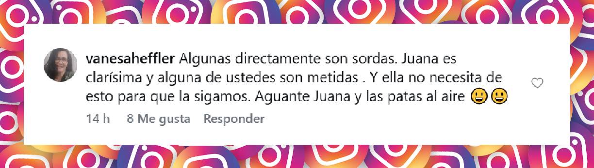 Comentario de una usuaria | Fuente: Instagram/juanarepettook