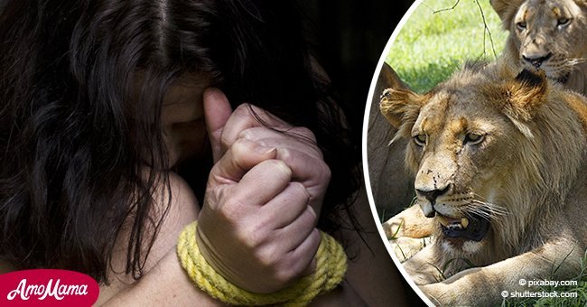 Hombres secuestran y golpean a niña de 12 años, pero leones aparecen al rescate