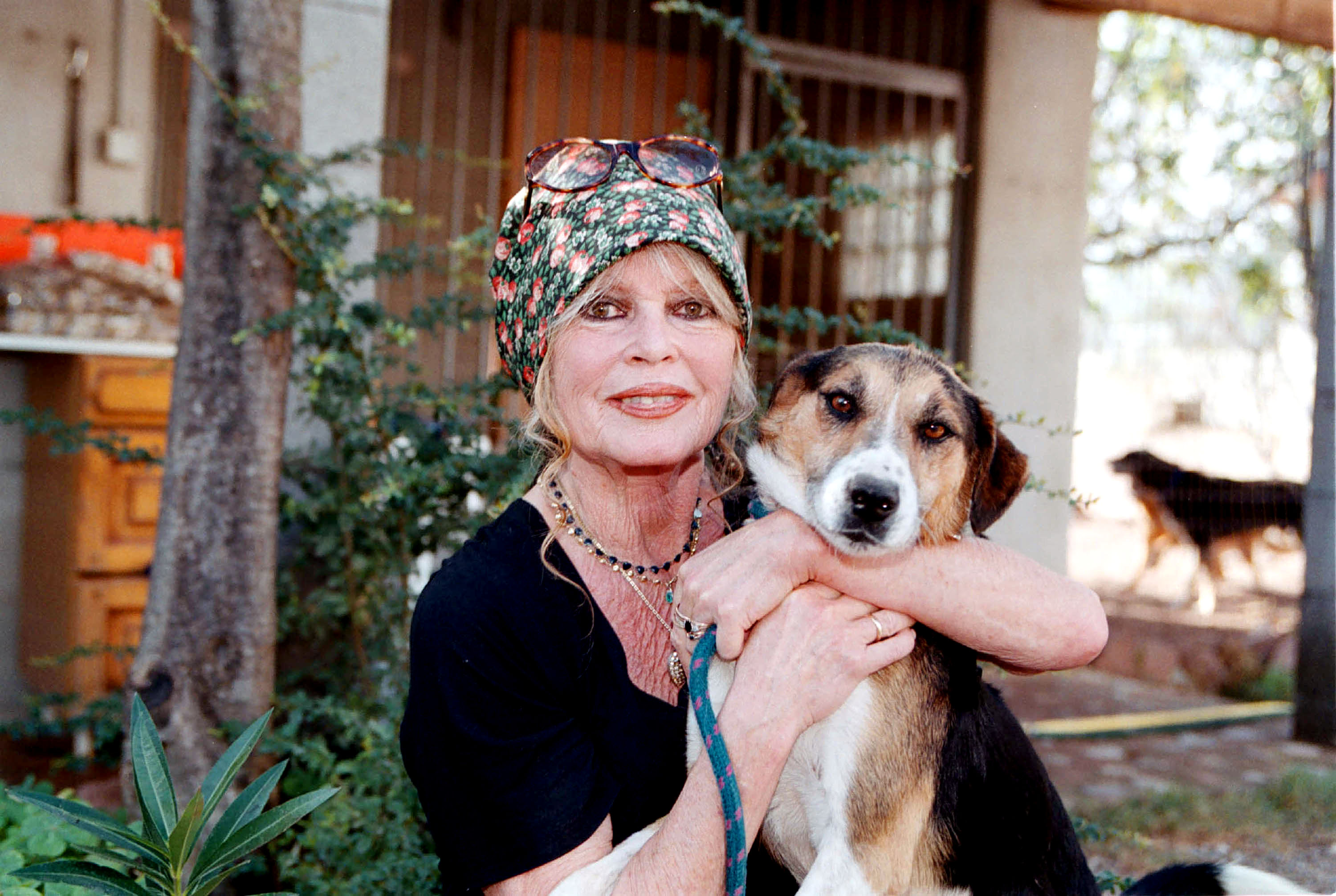 Brigitte Bardot en su refugio canino "The Nice Dogs" en París, Francia, el 7 de octubre de 2001 | Foto: Getty Images