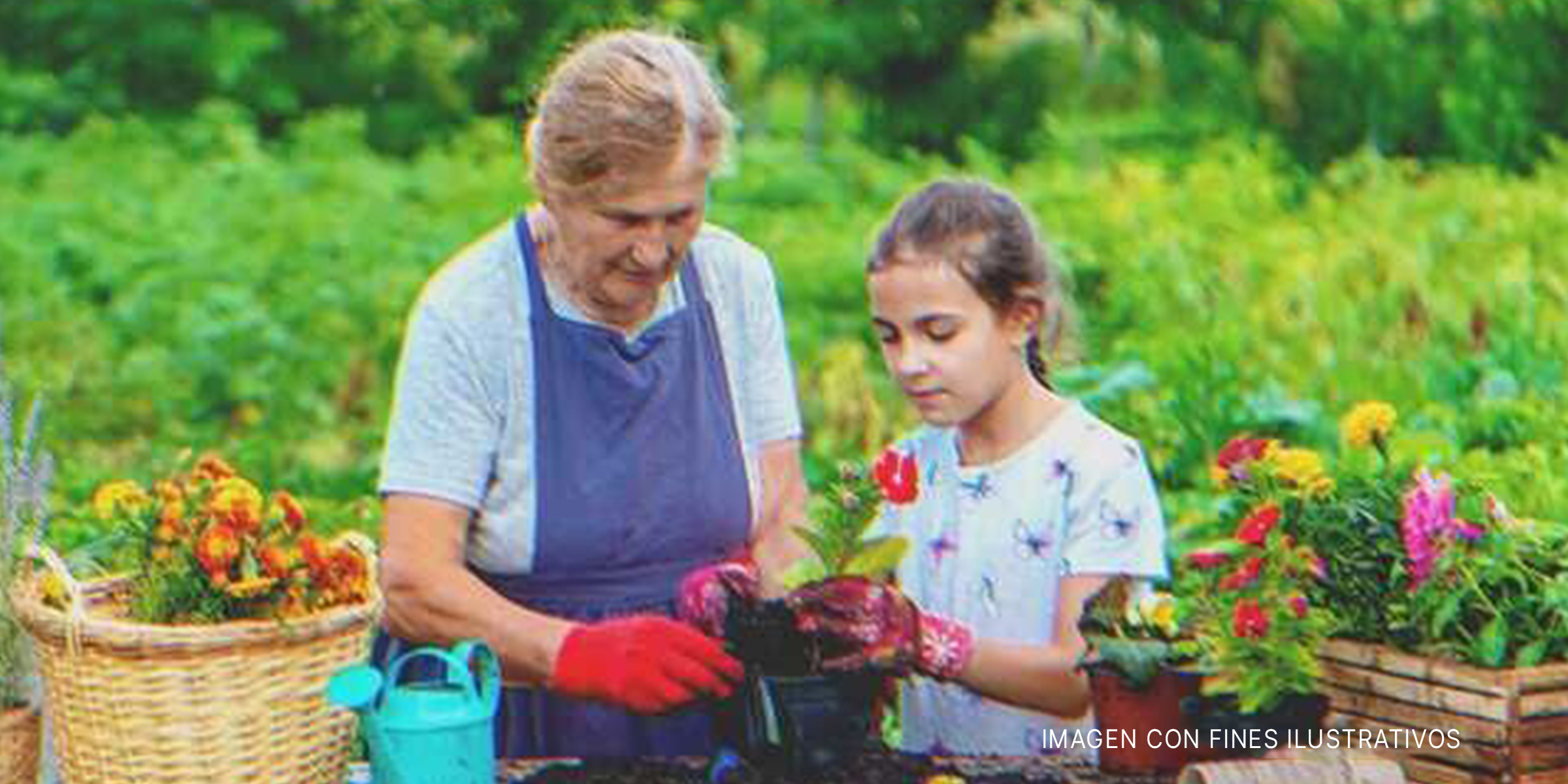 Señora mayor y niña trabajando en un jardín. | Foto: Shutterstock