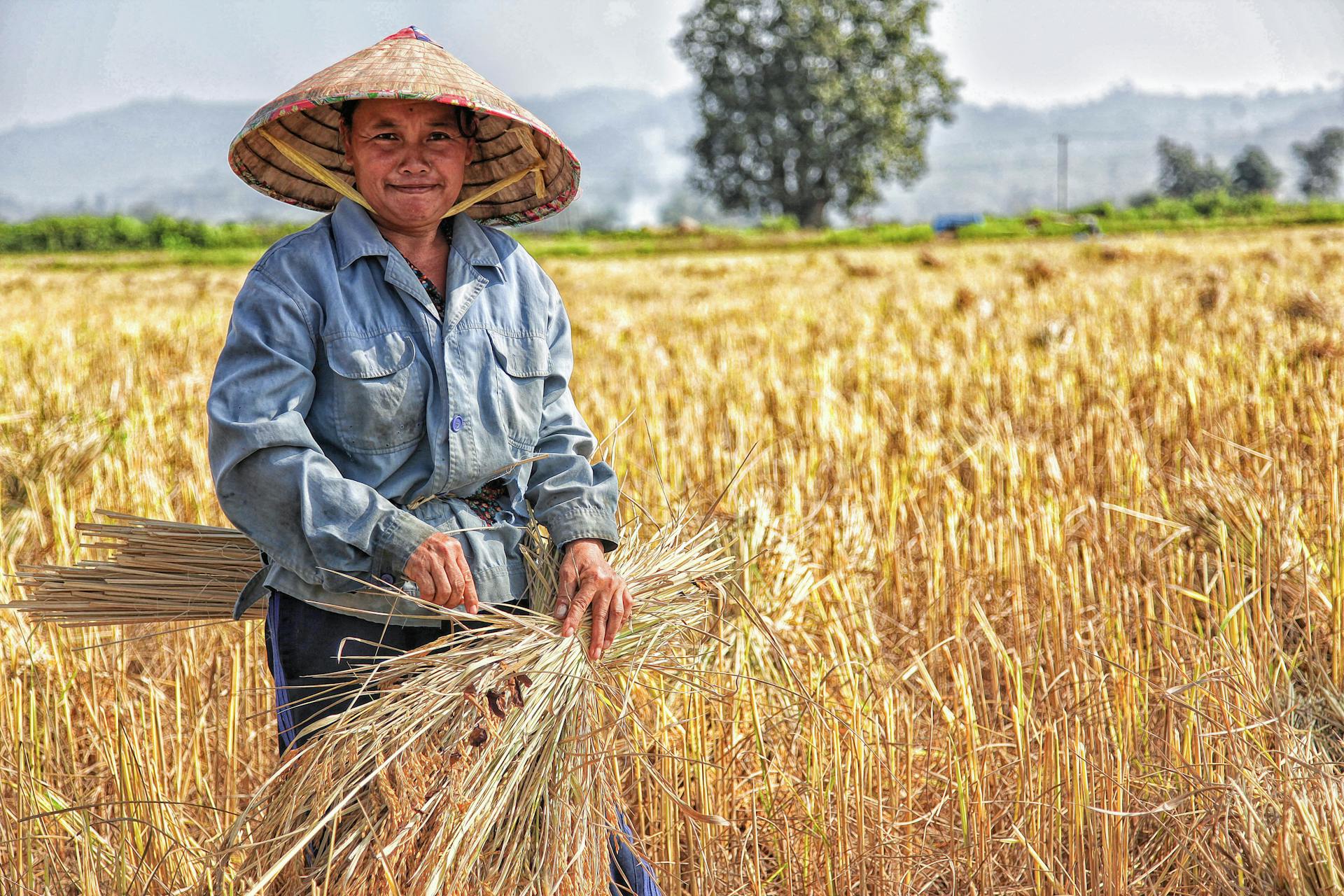 Un agricultor | Fuente: Pexels