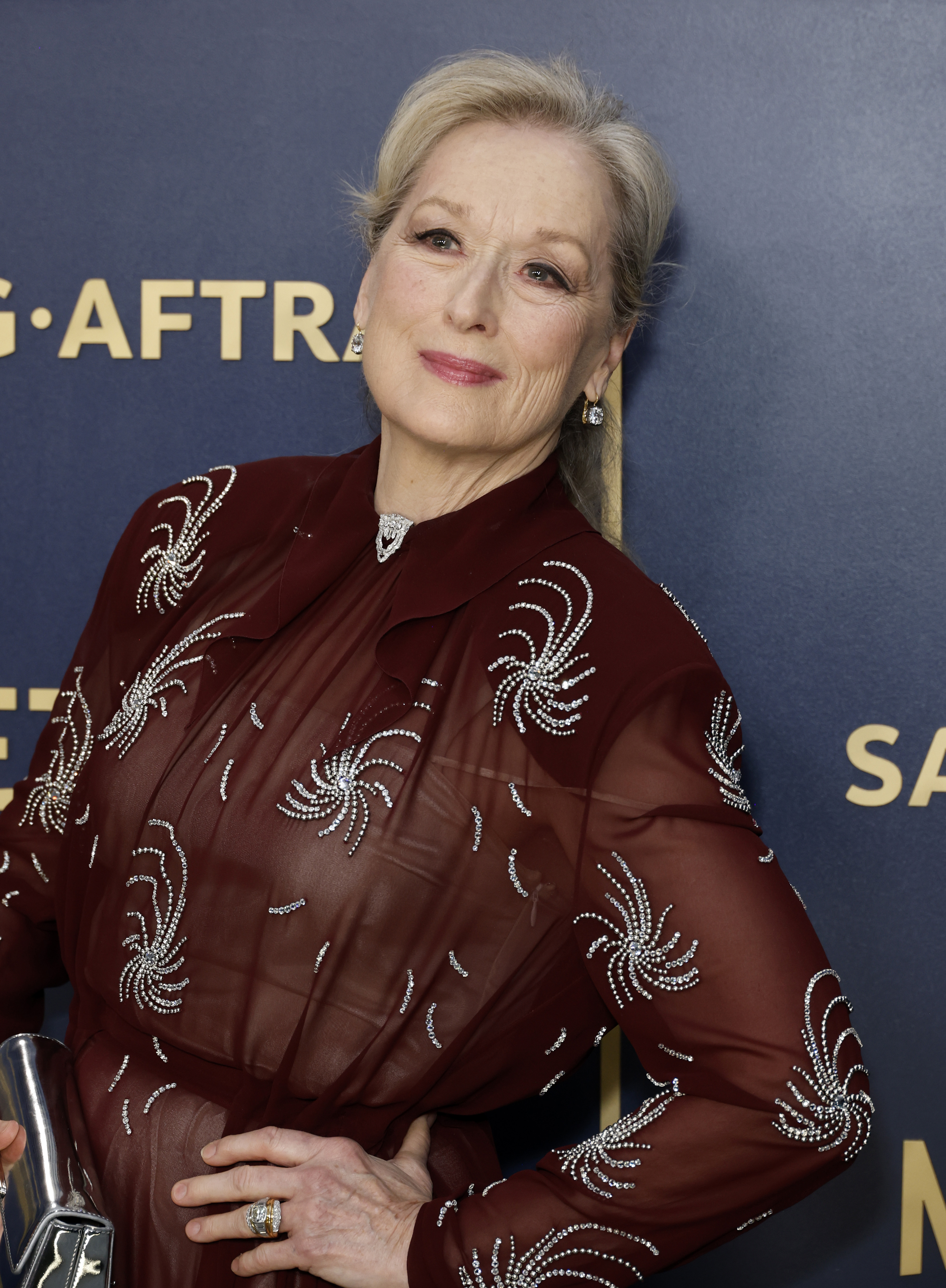 Meryl Streep asiste a la 30ª edición de los Screen Actors Guild Awards el 24 de febrero de 2024 | Fuente: Getty Images