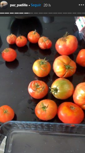 Tomates del huerto de Paz. | Foto: Captura de pantalla de Instagram/ Paz_padilla