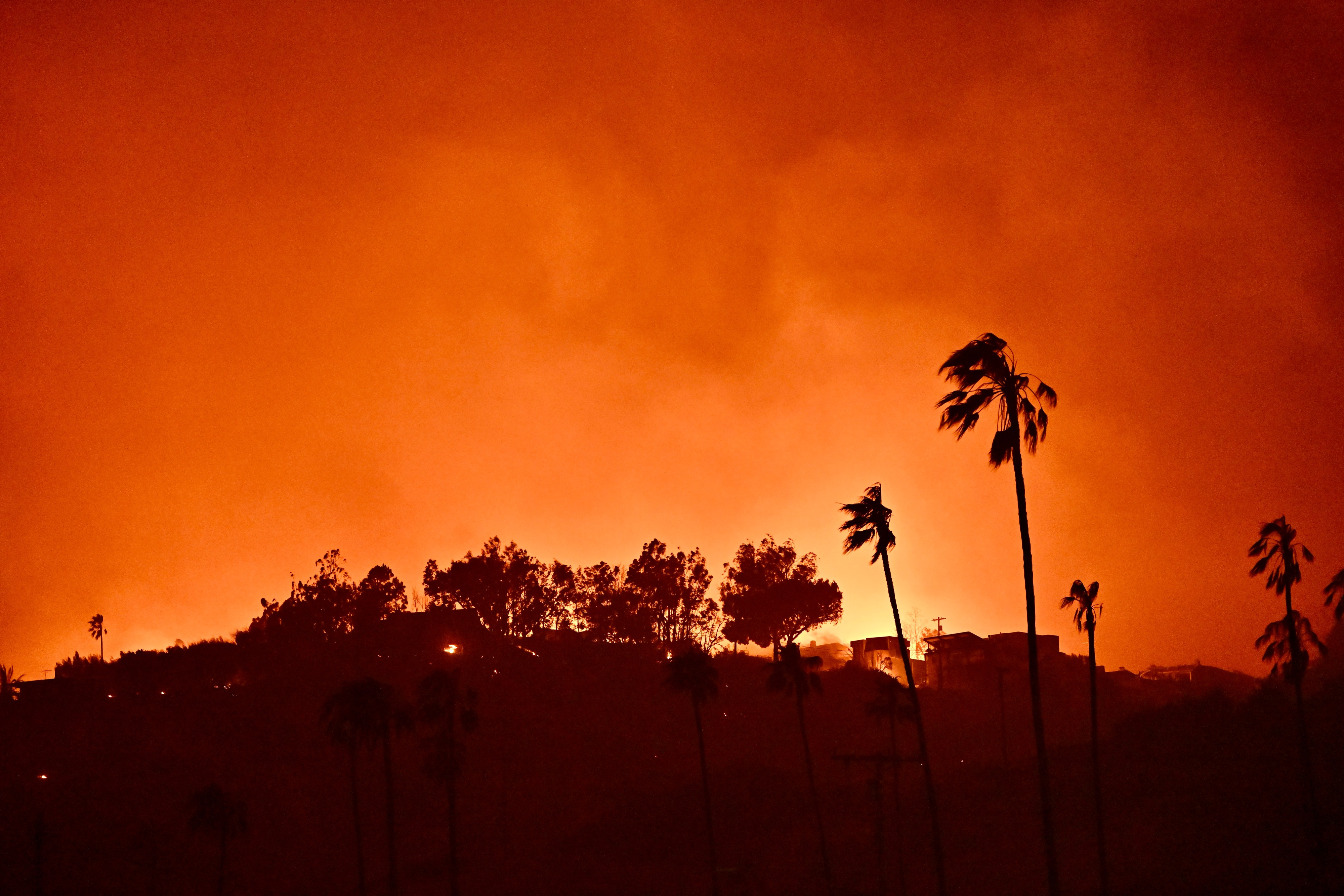 Vista de los incendios forestales de Los Ángeles el 8 de enero de 2025, en Pacific Palisades, California. | Fuente: Getty Images