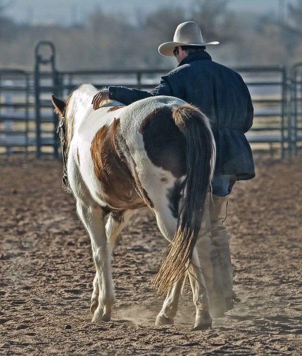 Una foto de un vaquero con su caballo. | Foto: Pixabay