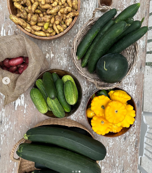 Una mesa rústica en Arcady muestra una abundante cosecha de verano dispuesta en cuencos de madera, cestas trenzadas y sacos de arpillera. Esta colorida cosecha, que pone de relieve la rica variedad que cultiva en su finca de la isla de Vancouver, incluye patatas fingerling y rojas, pepinos crujientes, calabacines verdes alargados y calabazas pattypan de un amarillo brillante. Compartió este generoso manjar con el siguiente pie de foto: "Después de pasar unas horas en el huerto, ya está lista la cosecha de hoy 🤍". | Fuente: Instagram/pamelaanderson
