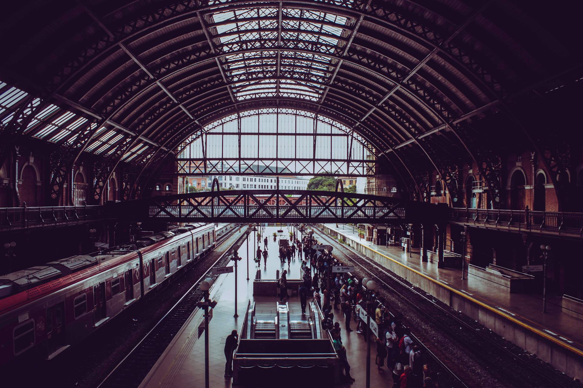 Una concurrida estación de tren | Fuente: Pexels