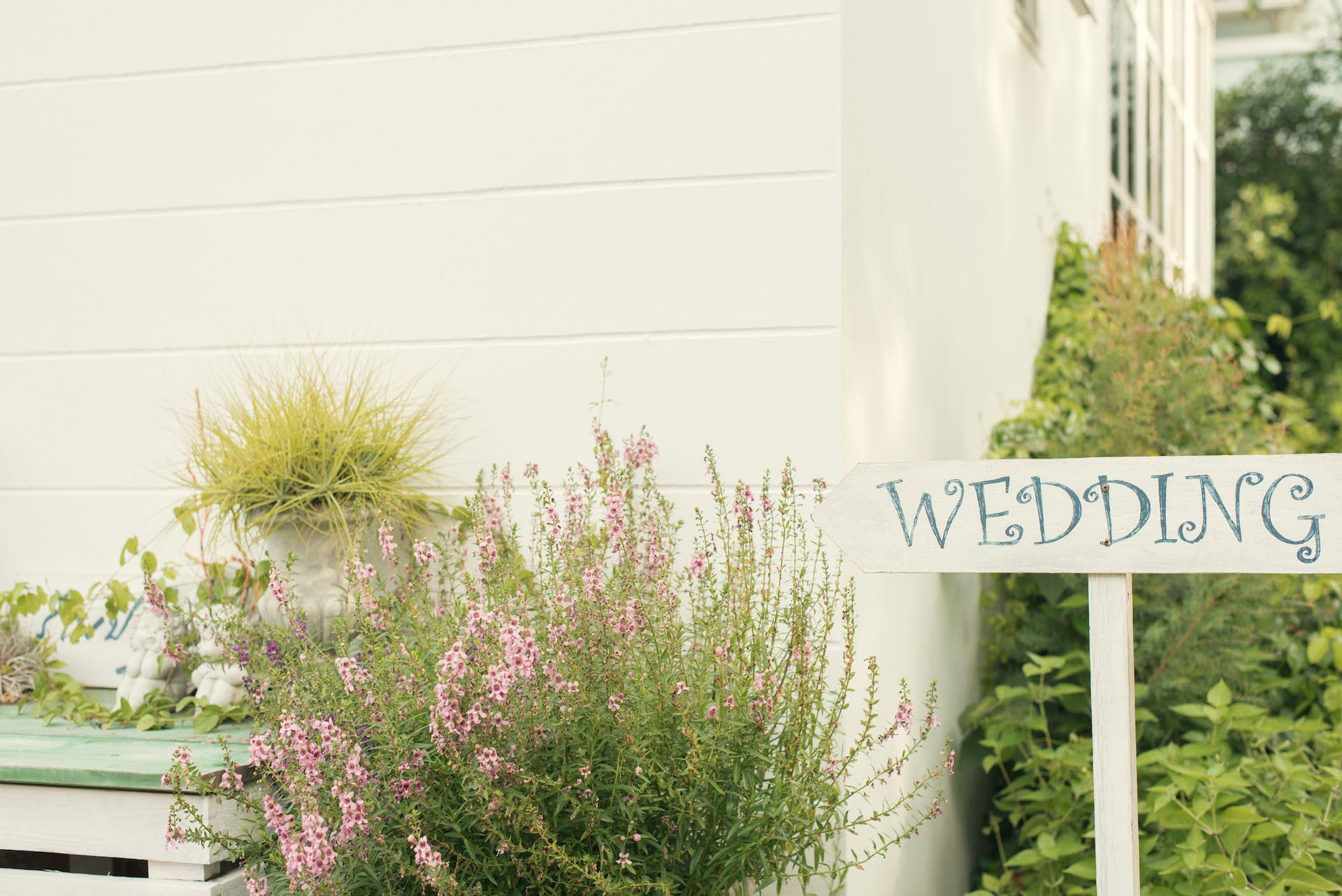 Cartel de boda con plantas | Foto: Pexels