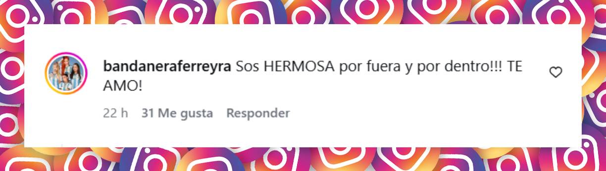Comentario de una usuaria | Fuente: Instagram/lowrez