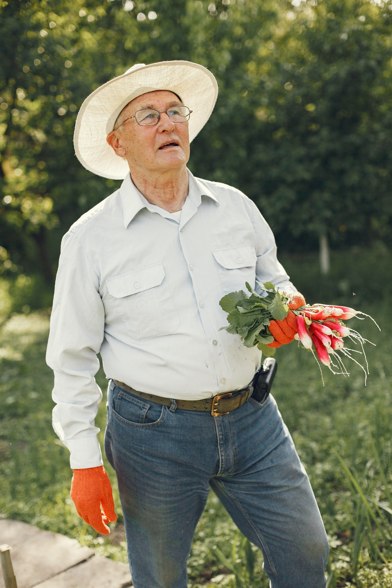 Hombre cultivando vegetales. | Foto: Pexels
