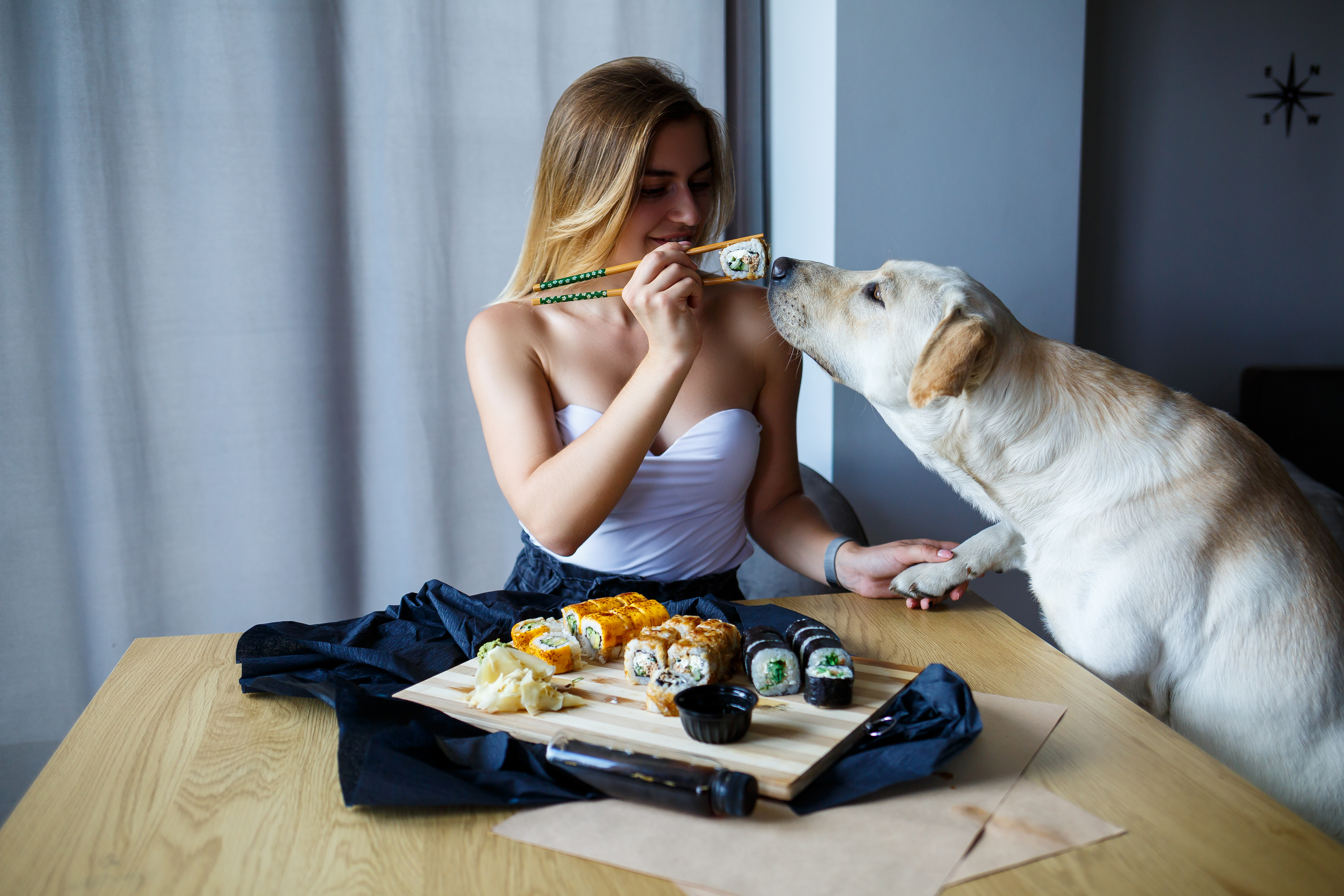 Mujer sostiene un trozo de sushi ante su perro | Foto: Shutterstock