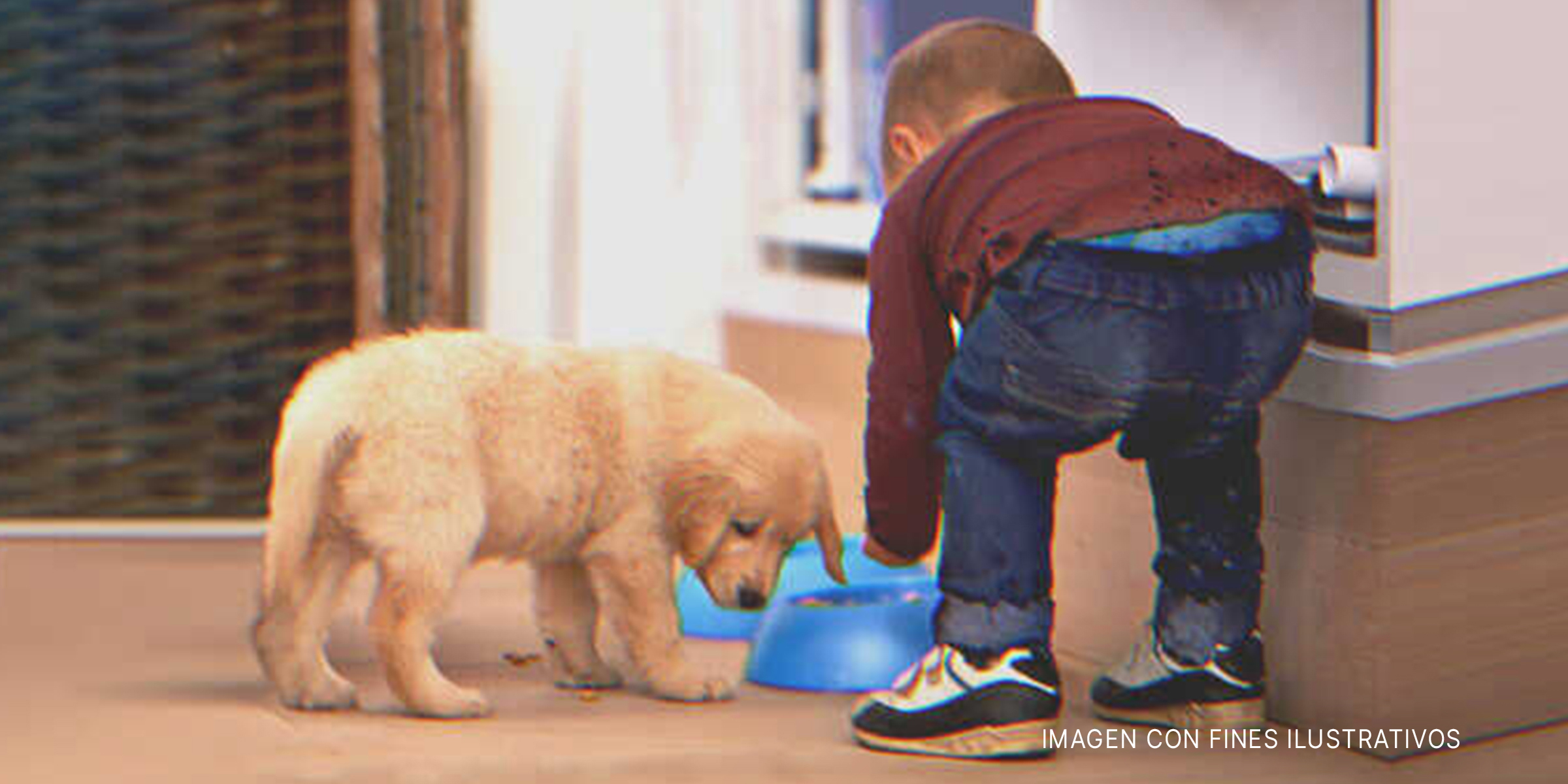 Un niño y un cachorro junto al comedero. | Foto: Getty Images