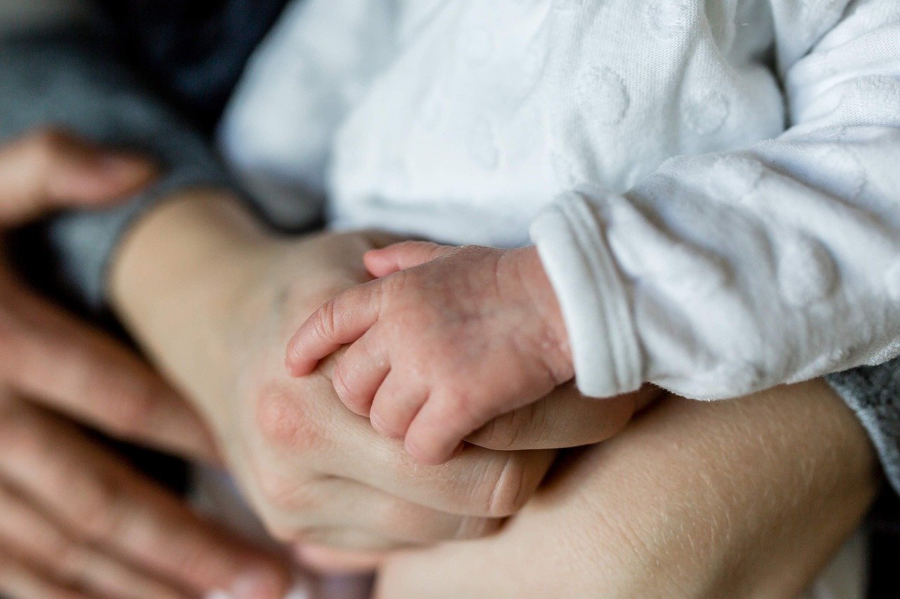 Un bebé en brazos de dos adultos | Fuente: Pixabay
