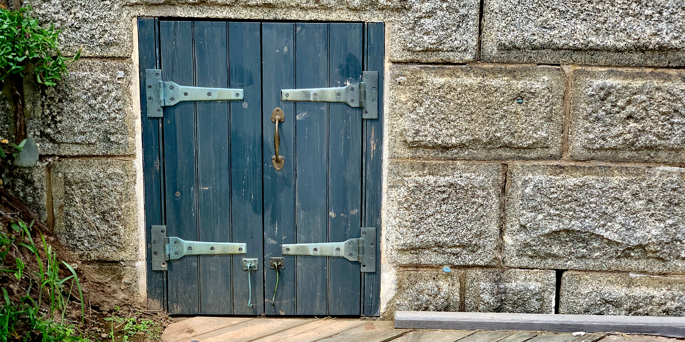 Una pequeña puerta azul | Foto: Getty Images