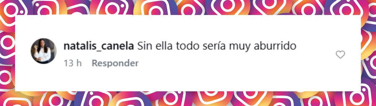 Comentario de una usuaria | Fuente: Instagram/frontstagerd