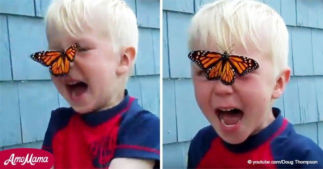 Divertida reacción de un niño cuando la mariposa que intentaba liberar no quería irse (video)