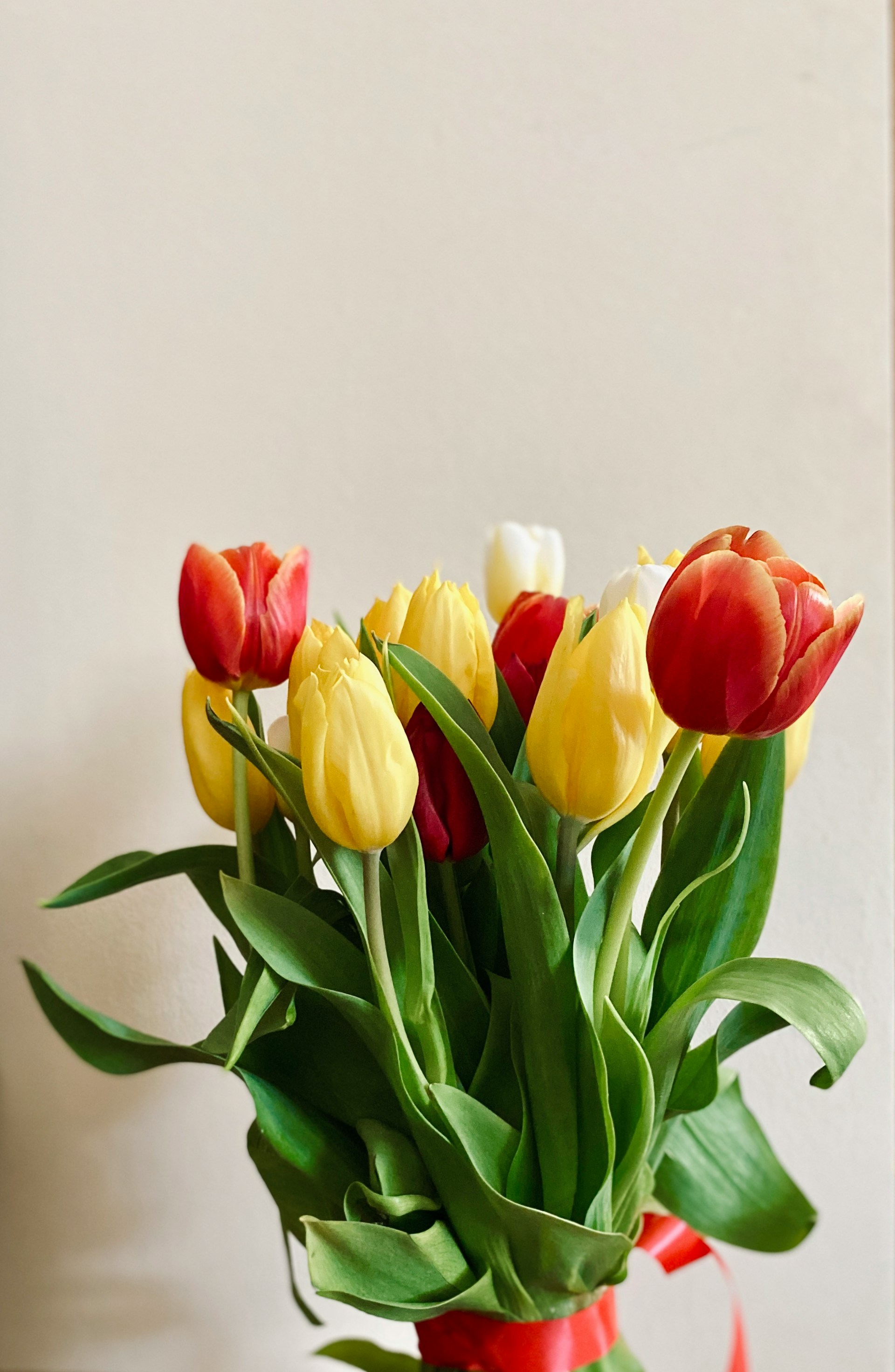 Un ramo de tulipanes | Fuente: Unsplash