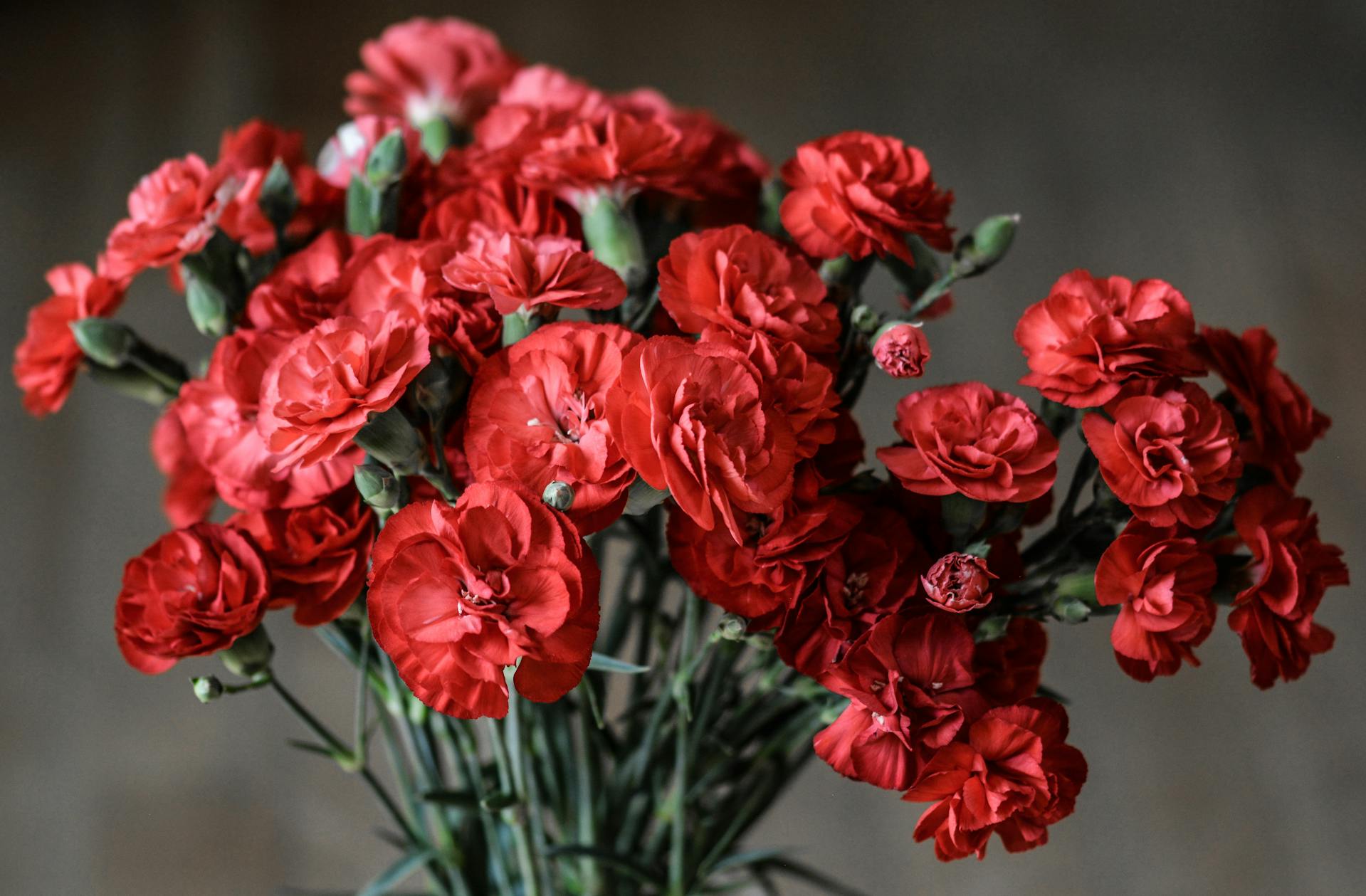Un bouquet di fiori | Fonte: Pexels