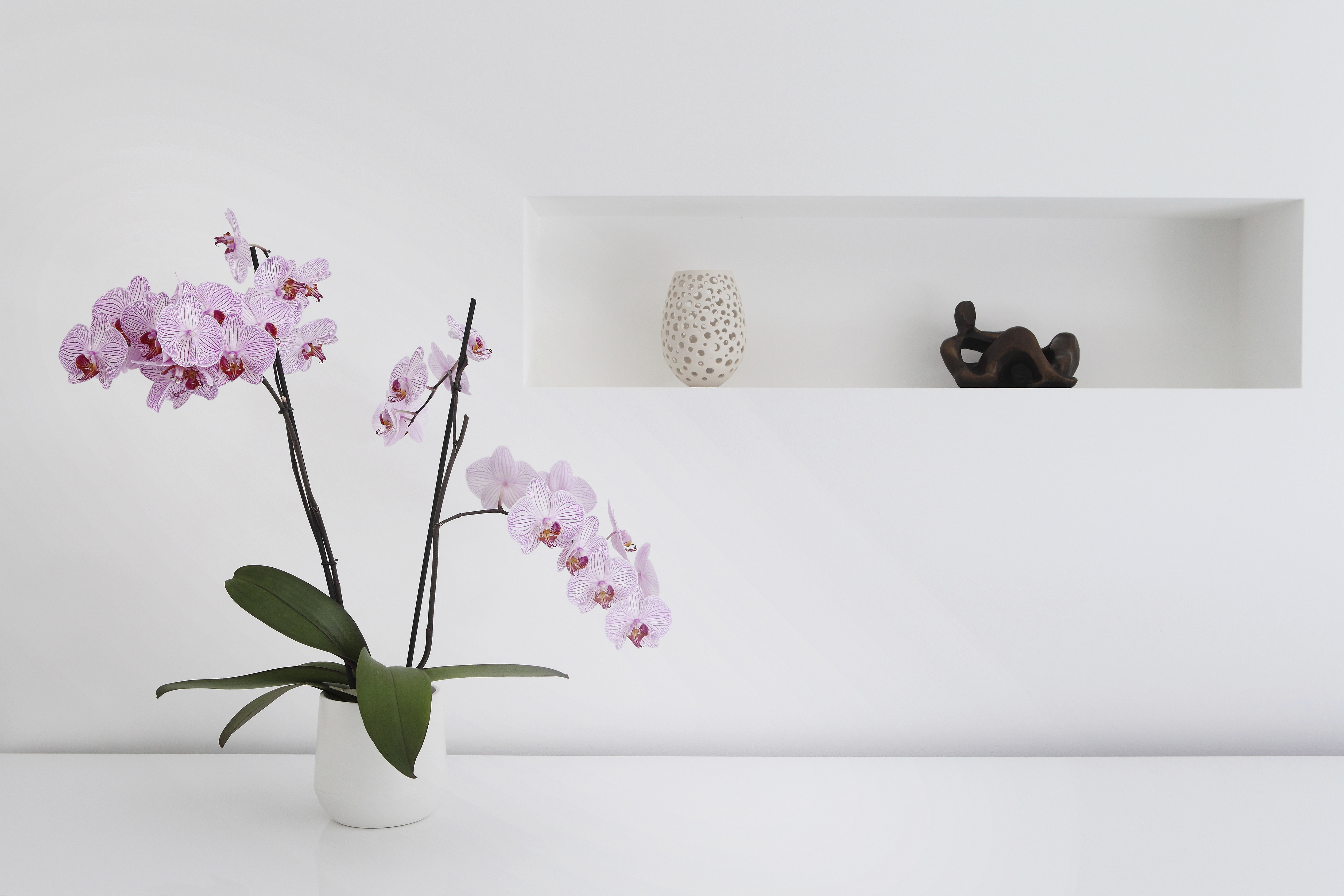 Planta de orquídea rosa y adornos en la habitación | Foto: Getty Images