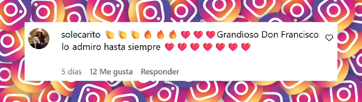 Comentario de una usuaria sobre el regreso de Don Francisco a la televisión | Fuente: Instagram/ despiertamerica