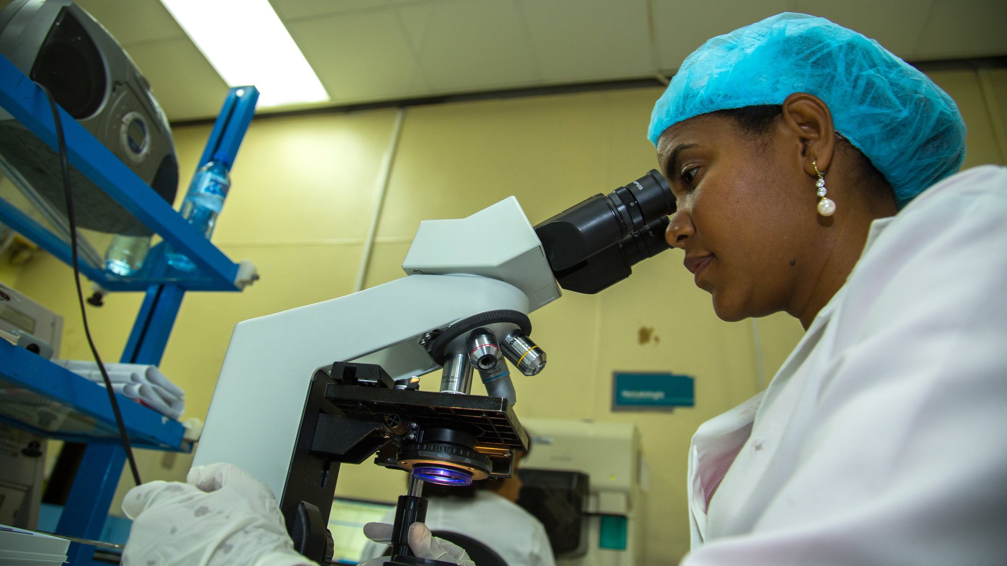Bioanalísta revisando muestra con microscopio. | Imagen: Flickr