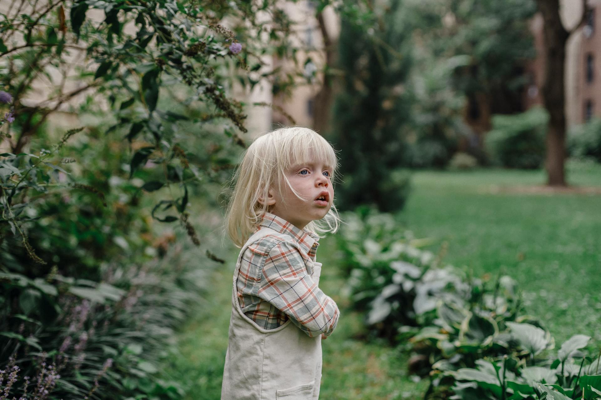 Un niño en un jardín | Fuente: Pexels