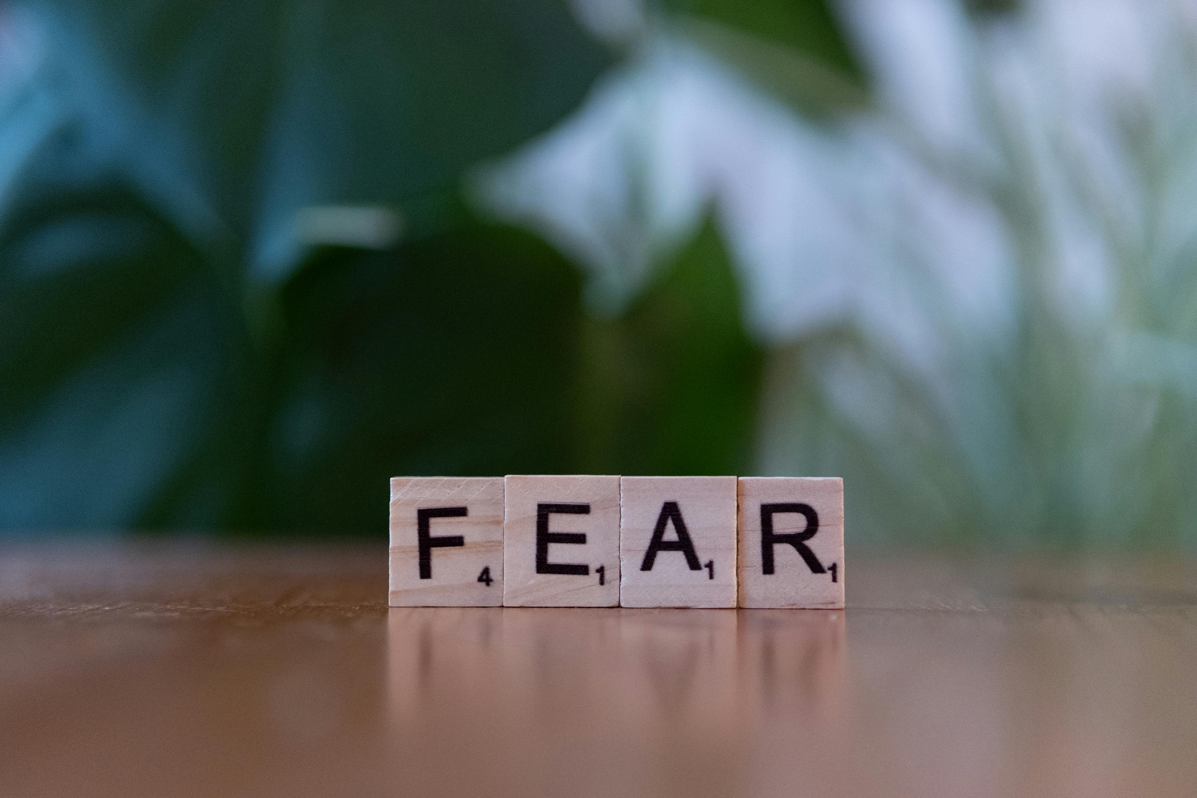 Imagen con fines ilustrativos | Foto: Pexels