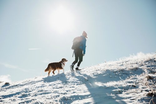 Hombre alpinista caminando con su perro sobre la nieve. | Foto: Shutterstock